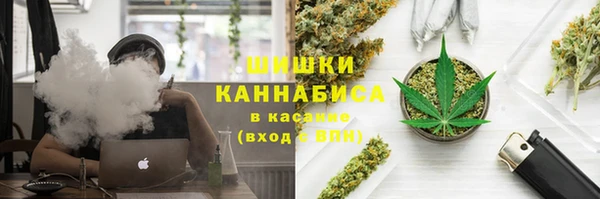 каннабис Богданович