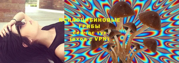 a pvp Переславль-Залесский
