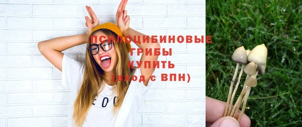 a pvp Переславль-Залесский