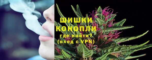 твердый Осинники