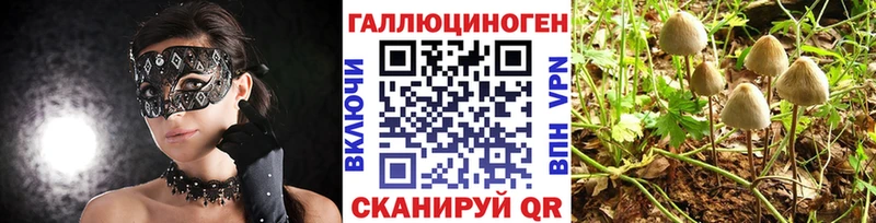 Псилоцибиновые грибы MAGIC MUSHROOMS  Нахабино 